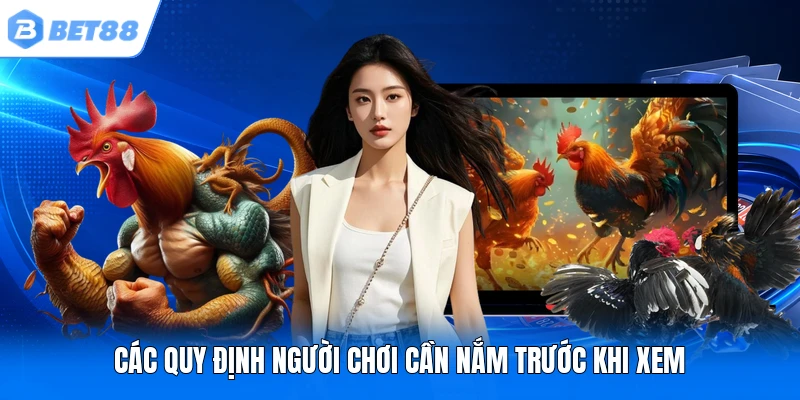 Các quy định người chơi cần nắm trước khi xem