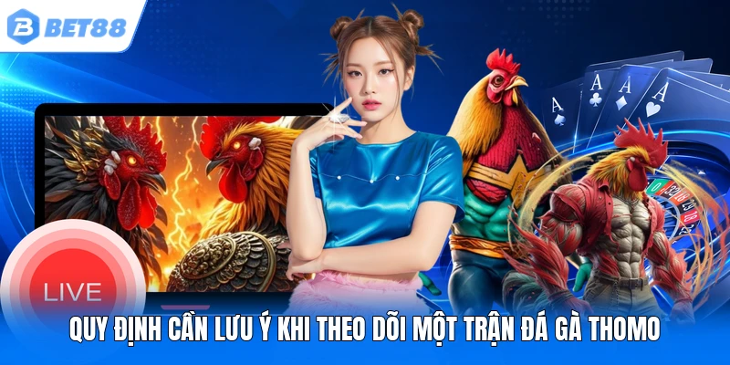 Q uy định cần lưu ý khi theo dõi một trận đá gà Thomo