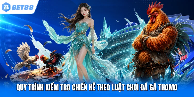 Quy trình kiểm tra chiến kê theo luật chơi đá gà Thomo