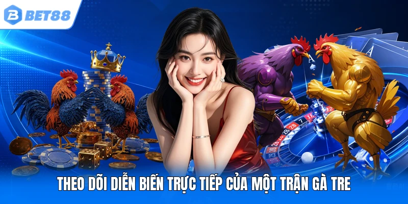 Theo dõi diễn biến trực tiếp của một trận gà tre