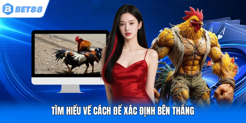 Tìm hiểu về cách để xác định bên thắng